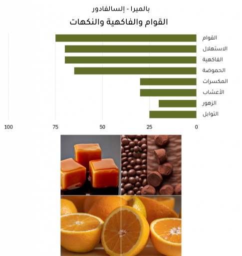 بالميرا - إلسالفادور