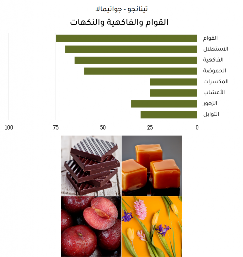 تينانجو - جواتيمالا