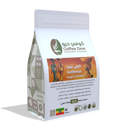 كيفي تينيا - إثيوبيا