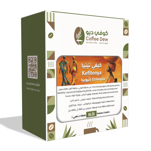 كيفي تينيا - إثيوبيا