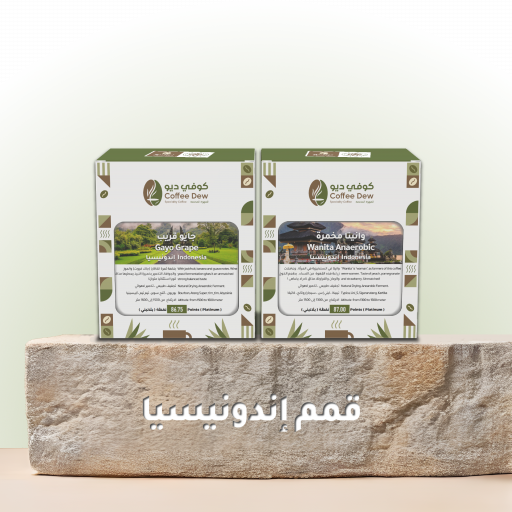 قمم إندونيسيا