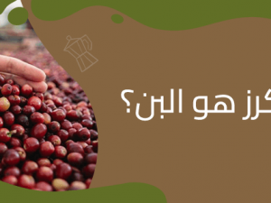 هل الكرز هو البن؟ اكتشف الحقيقة مع كوفي ديو هل الكرز هو البن؟ اكتشف الحقيقة مع كوفي ديو